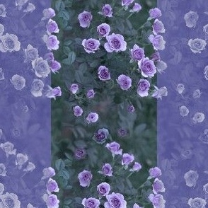 6x4-Inch Repeat of Stripes of Veranda Roses in Lavender Amethyst Violet