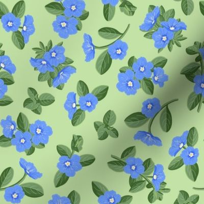 Blue Daze Flowers, Sm Scattered Floral Pattern, Cornflower Blue Flowers, Sage Green Leaves, Mint Green Background
