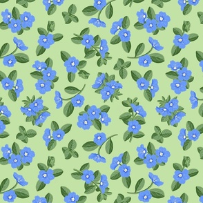 Blue Daze Flowers, Med  Scattered Floral Pattern, Cornflower Blue Flowers, Sage Green Leaves, Mint Green Background