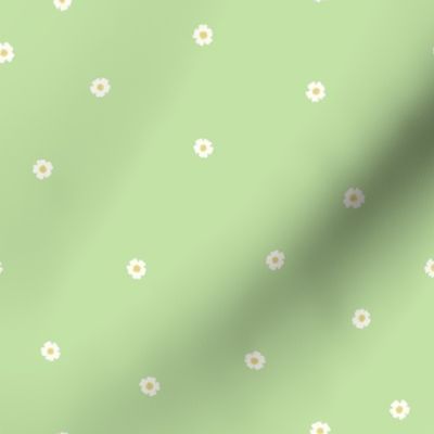 White Flower Dots, Sm Tossed Dot Floral Pattern, White and Yellow Flowers, Mint Green Background