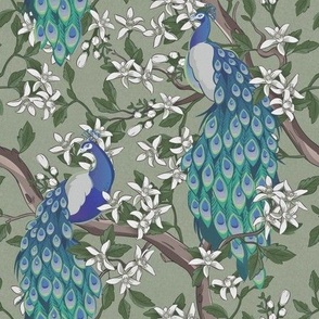 Victorian Peacocks and Flowering Trees on Sage