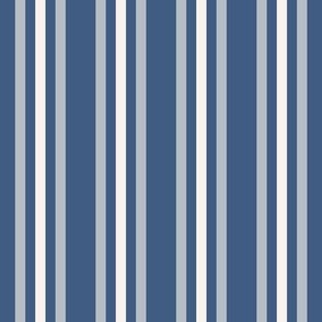 Triple Stripes - (L) Coastal Blue Ridge Weathered Blue Cream