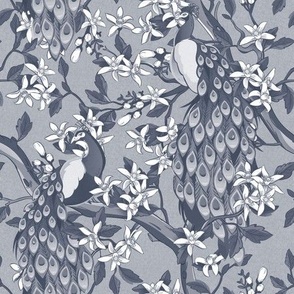 Victorian Peacocks and Flowering Trees in Prussian Blue - Coordinate