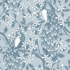 Victorian Peacocks and Flowering Trees in French Blue - Coordinate