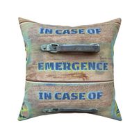 In Case of Emergence