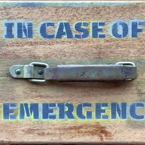 In Case of Emergence