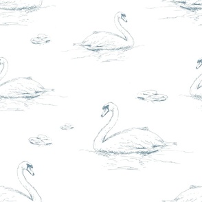 Hand Drawn Swans