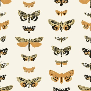 Vintage Moths