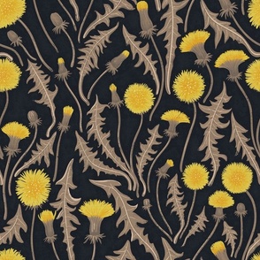 Dandelions, brown, yellow and black