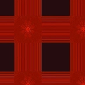 red noir border check