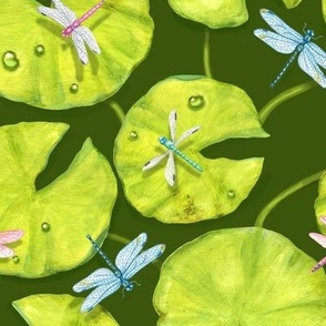 Dragonflies and Water Lilies