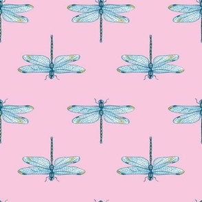 Dragonfly blue pink