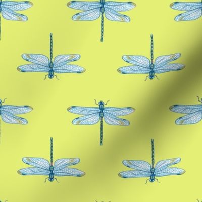 Dragonfly blue green