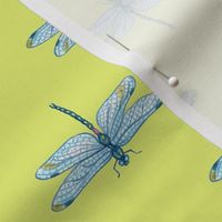Dragonfly blue green
