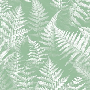 Soft Moss Ferns • large