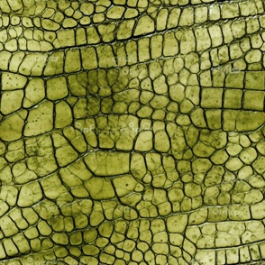 Peridot Green Alligator Skin 2