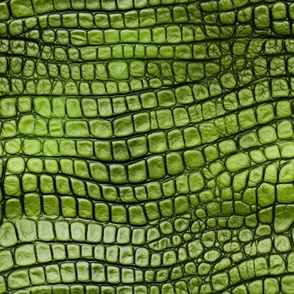 Peridot Green Alligator Skin 3