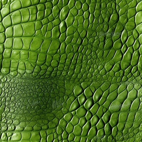 Peridot Green Alligator Skin 4