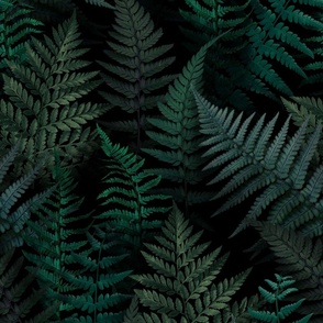 Woodland Ferns in Moonlight • Large