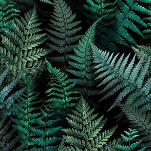 Woodland Ferns • Medium