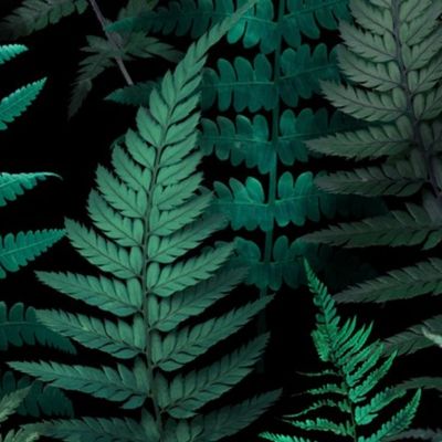 Woodland Ferns • Large