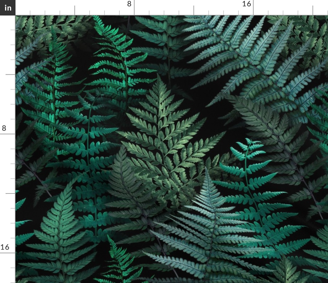 Woodland Ferns • Large