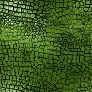 Peridot Green Alligator Skin 7