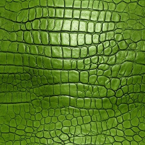 Peridot Green Alligator Skin 8