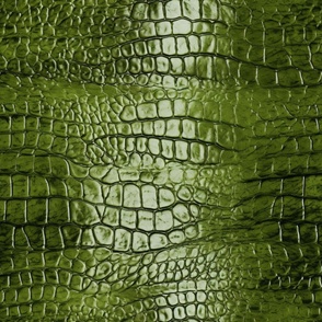 Peridot Green Alligator Skin 9