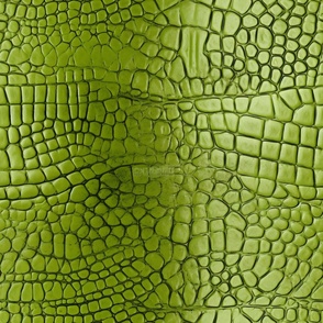 Peridot Green Alligator Skin 12