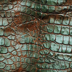 Patina Alligator Skin 5