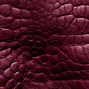 Ruby Red Alligator Skin 2