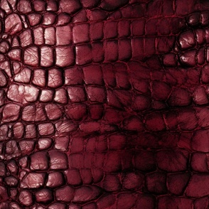 Ruby Red Alligator Skin 3