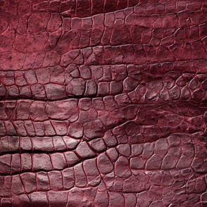 Ruby Red Alligator Skin 4