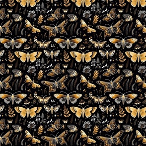 Gold and Black Moths 