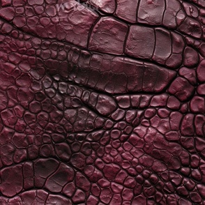Ruby Red Alligator Skin 7