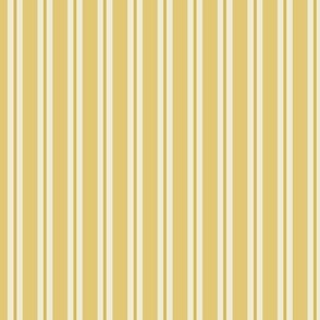 Allix Stripe: Gold Classic Stripe, Narrow Stripe