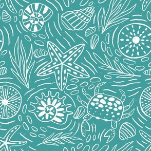 Seashore sea shells and creatures outline teal