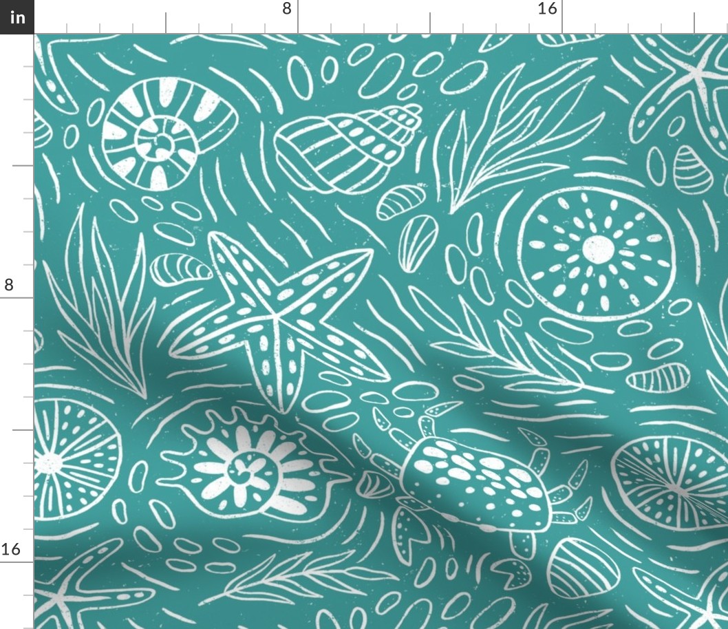 Seashore sea shells and creatures outline teal