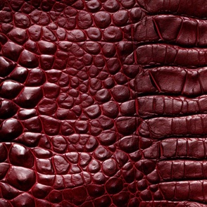 Ruby Red Alligator Skin 9