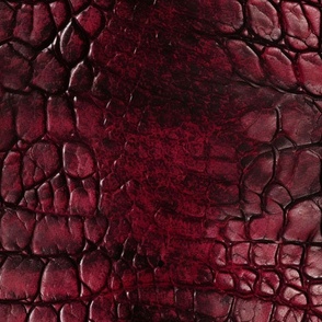 Ruby Red Alligator Skin 12