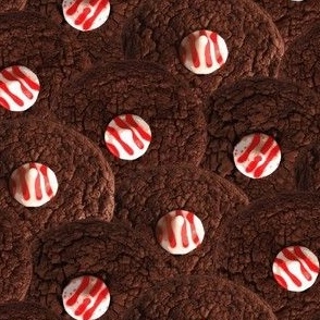 Peppermint Chocolate Christmas Cookies