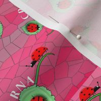 CRNA Ladybugs pink