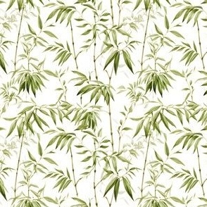 Green Bamboo on White - small 