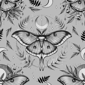 Black And White Moon Moths