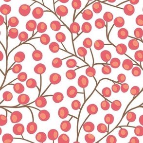 Branches with berries on white