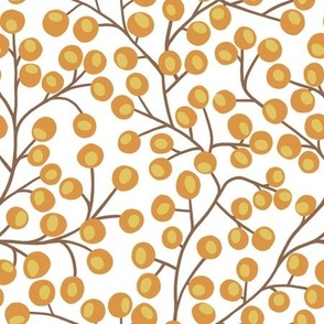 Branches with nuts on white
