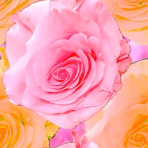 Pink Yellow Rose Photography / Pink and Yellow Roses