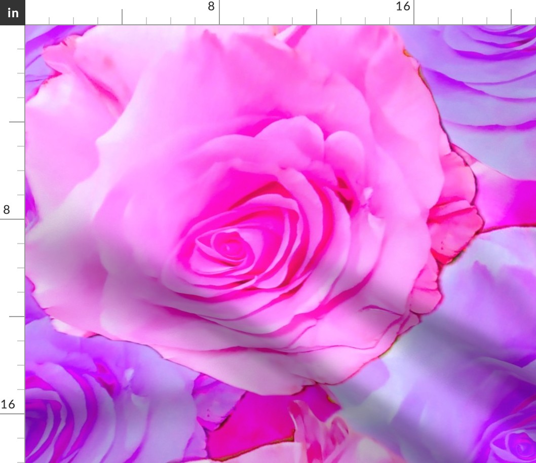 Pink and Purple Roses / Floral Photography