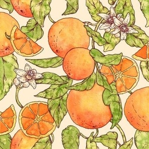 Watercolor oranges with leaves beige